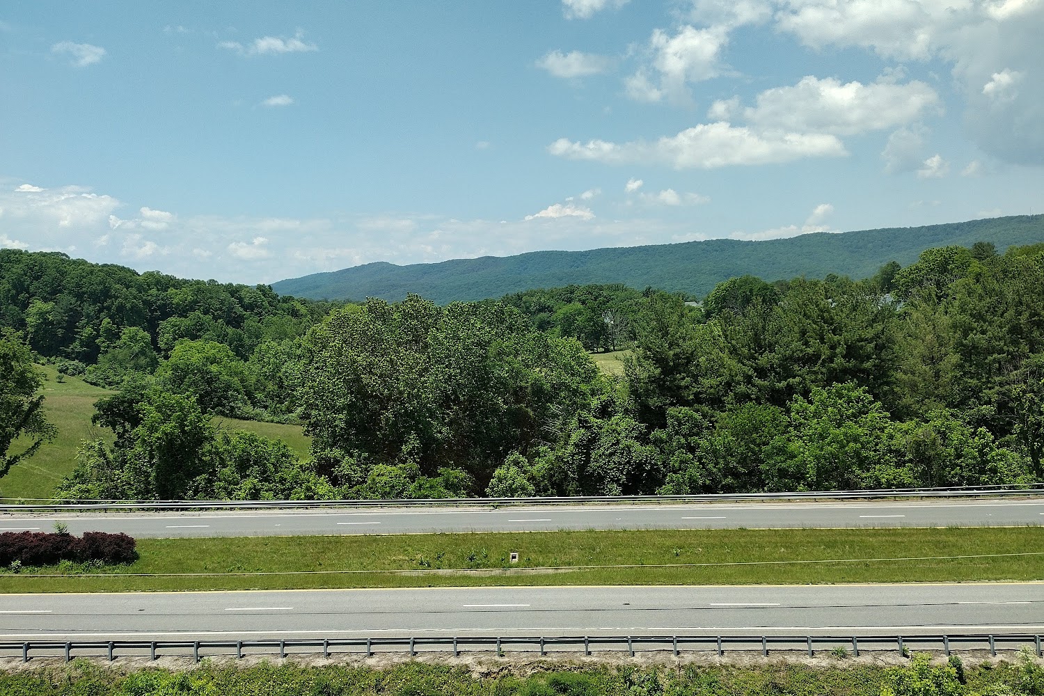 Pound Pals of Radford