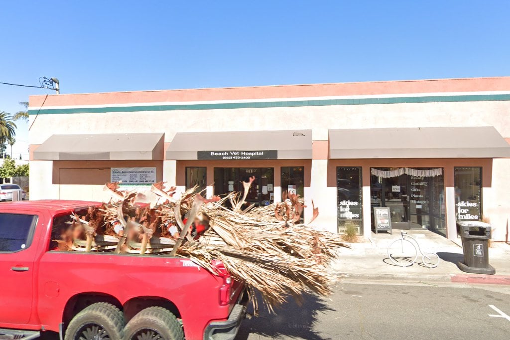 Beach Veterinary Hospital