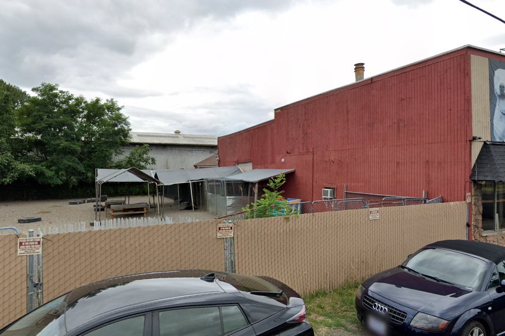 Family Dogs New Life Shelter