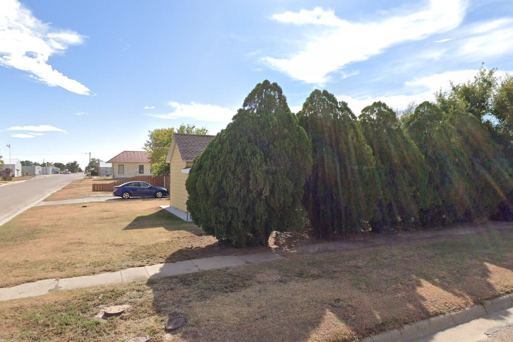 Silent Angels Advocate, Rescue Shelter