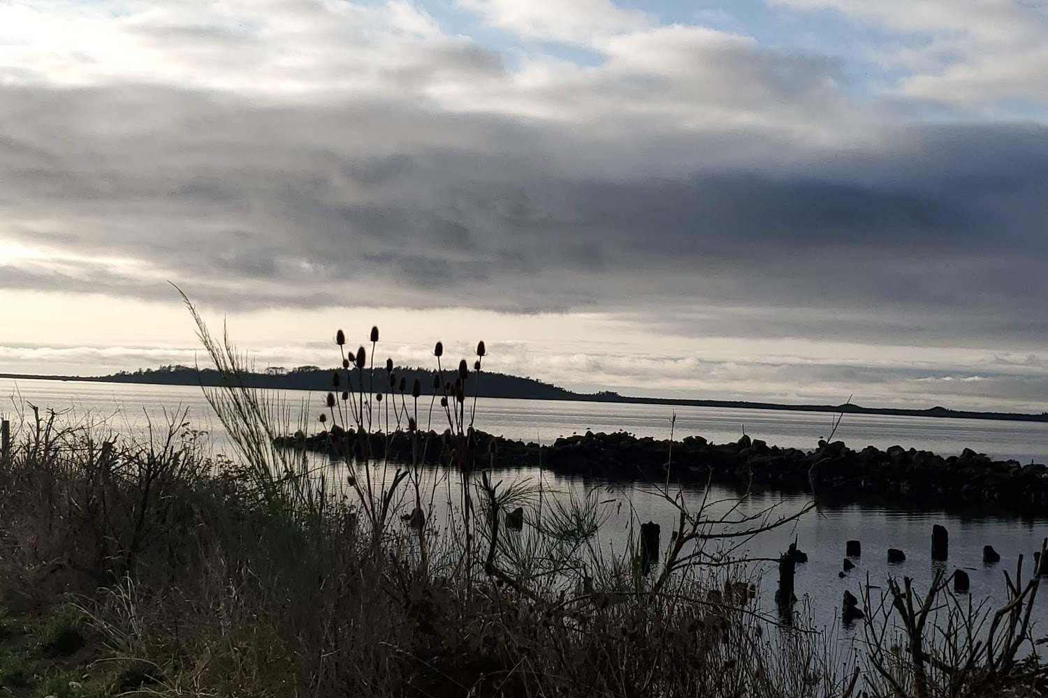 Oregon Animal Shelter