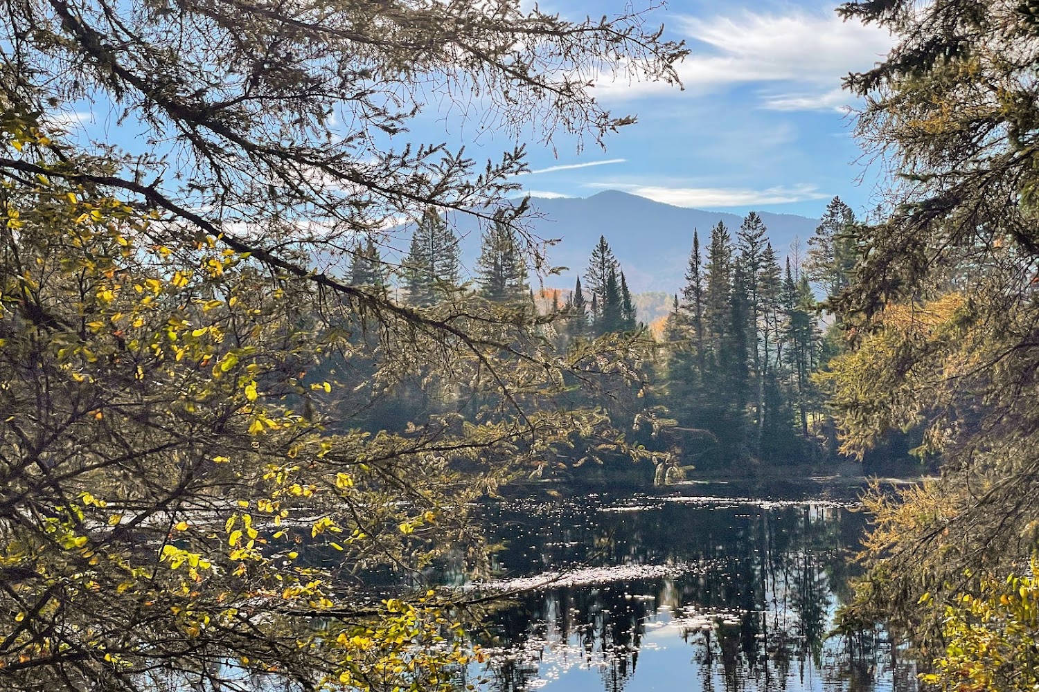 Mountain View Farm Animal Sanctuary