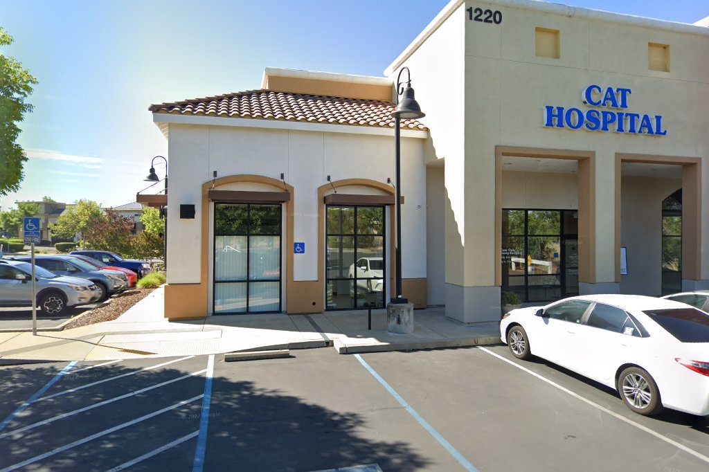 Cats Only Veterinary Hospital