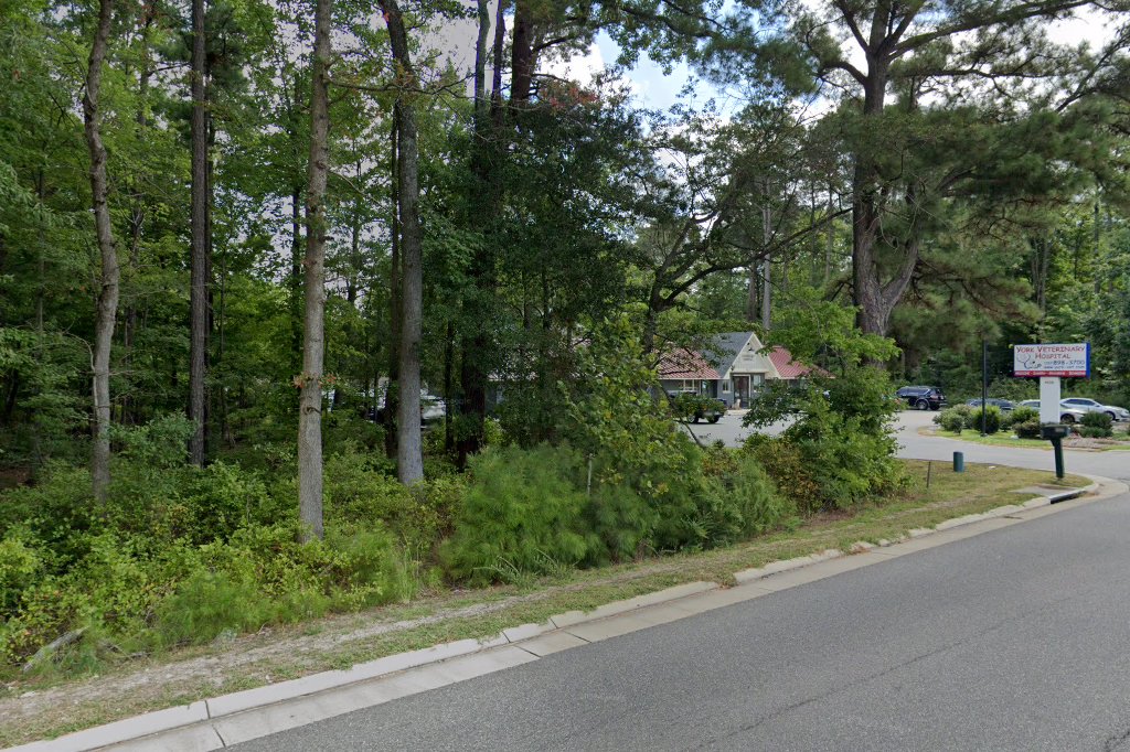 York Veterinary Hospital