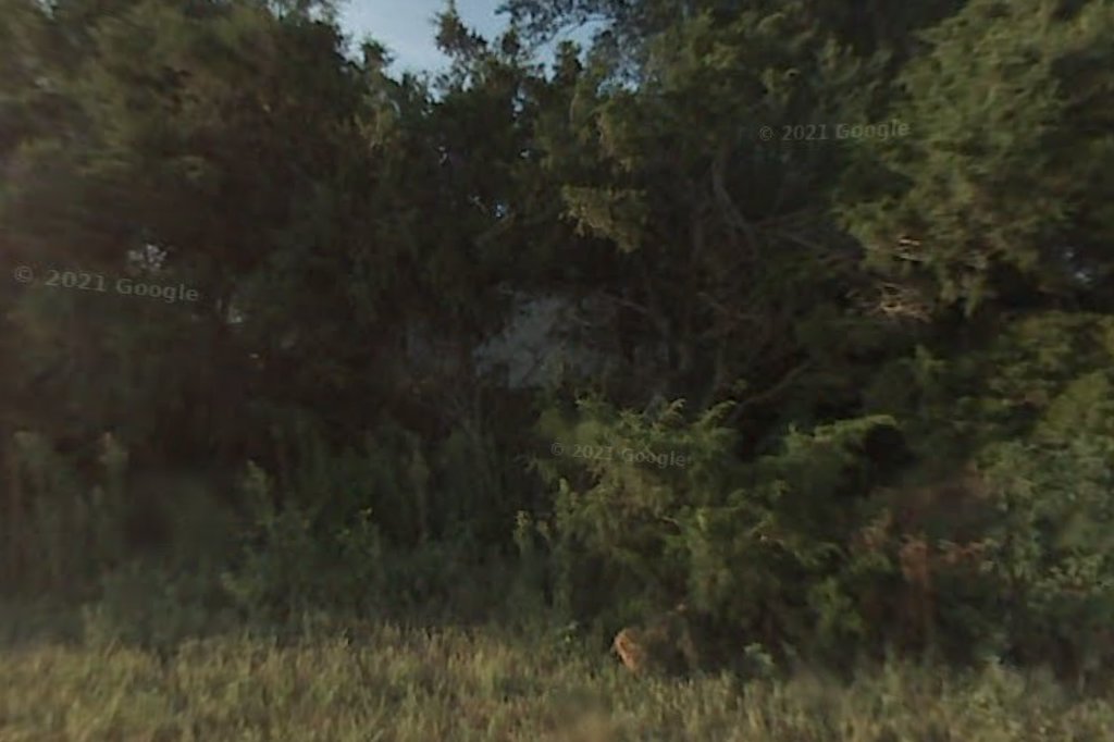 K-9 Karma Animal Advocates Inc.