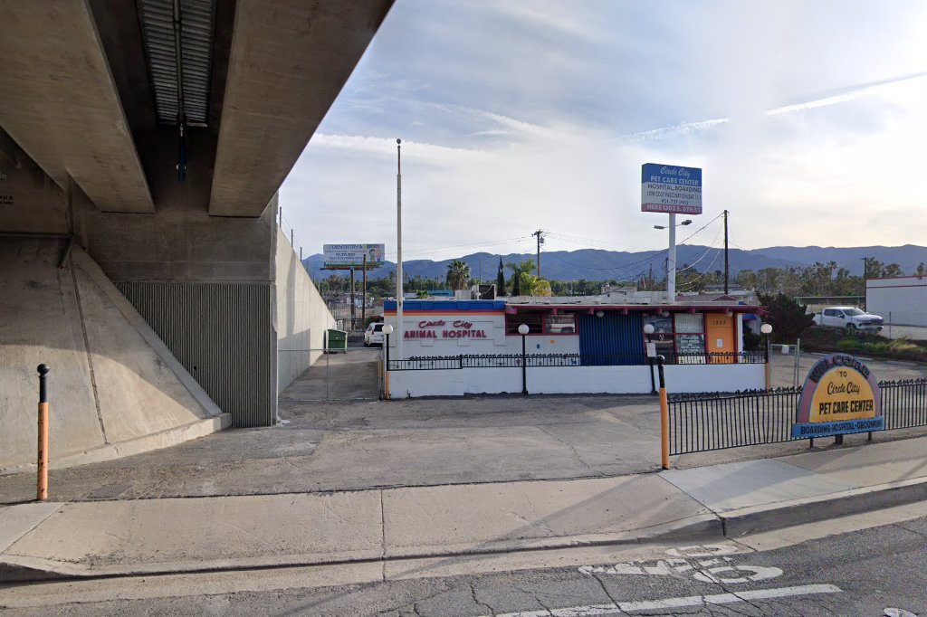 Circle City Animal Hospital