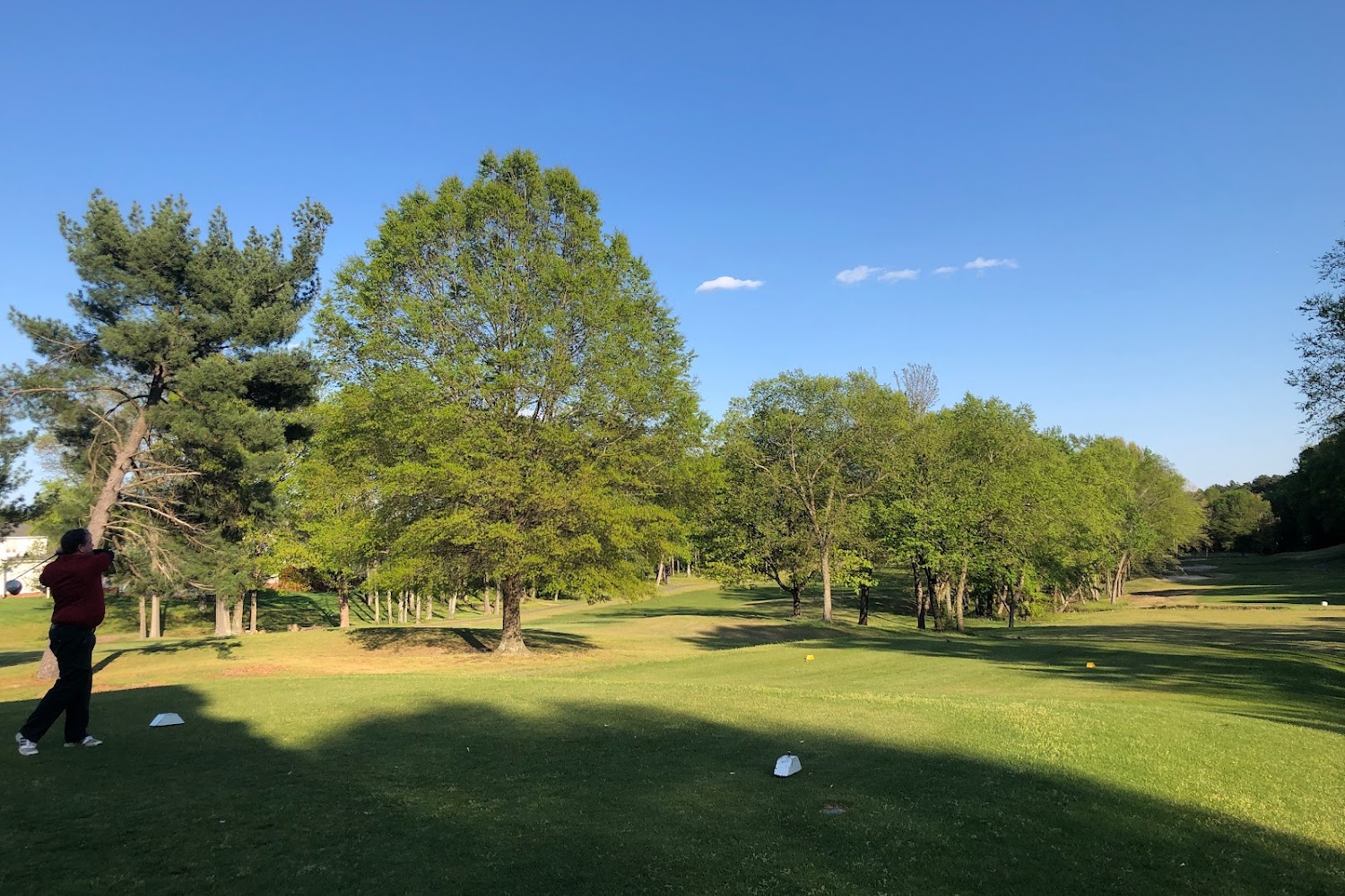 Pet Harbor Rescue & Referral