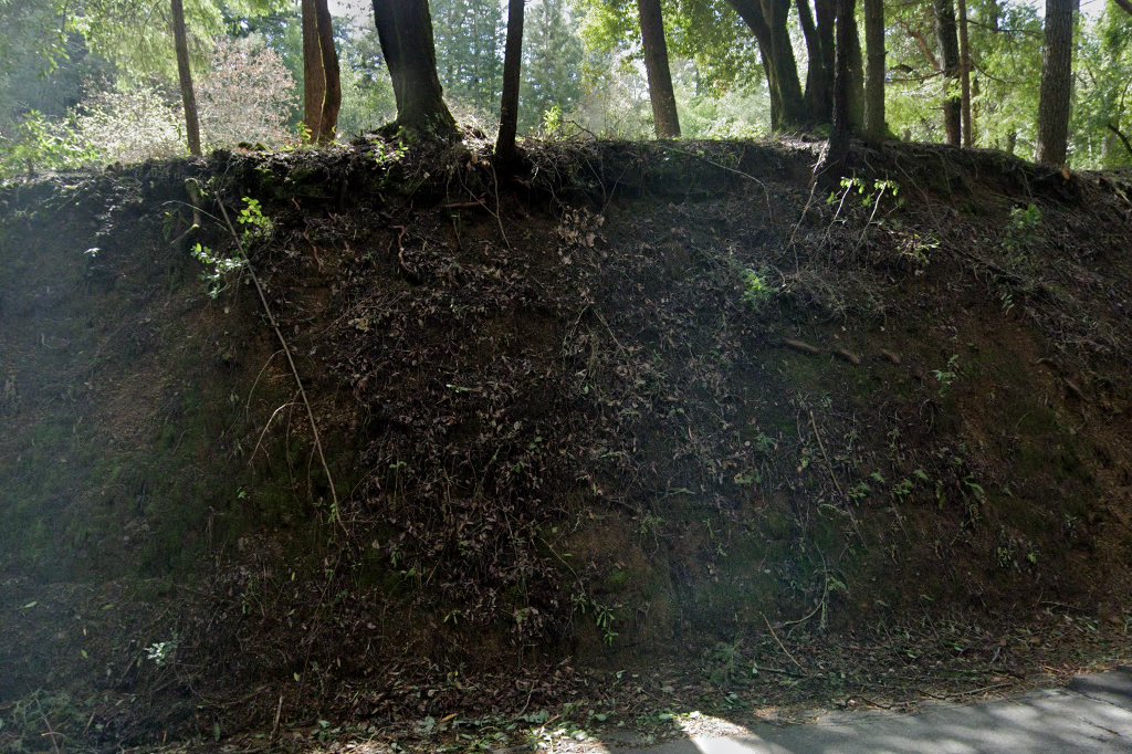 Wilson Veterinary Hospital