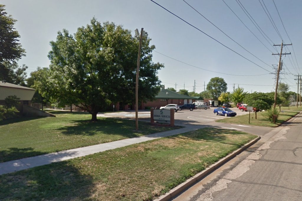 The Salina Animal Shelter