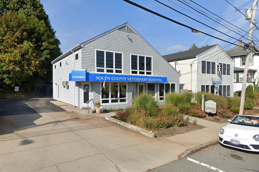 South County Veterinary Hospital