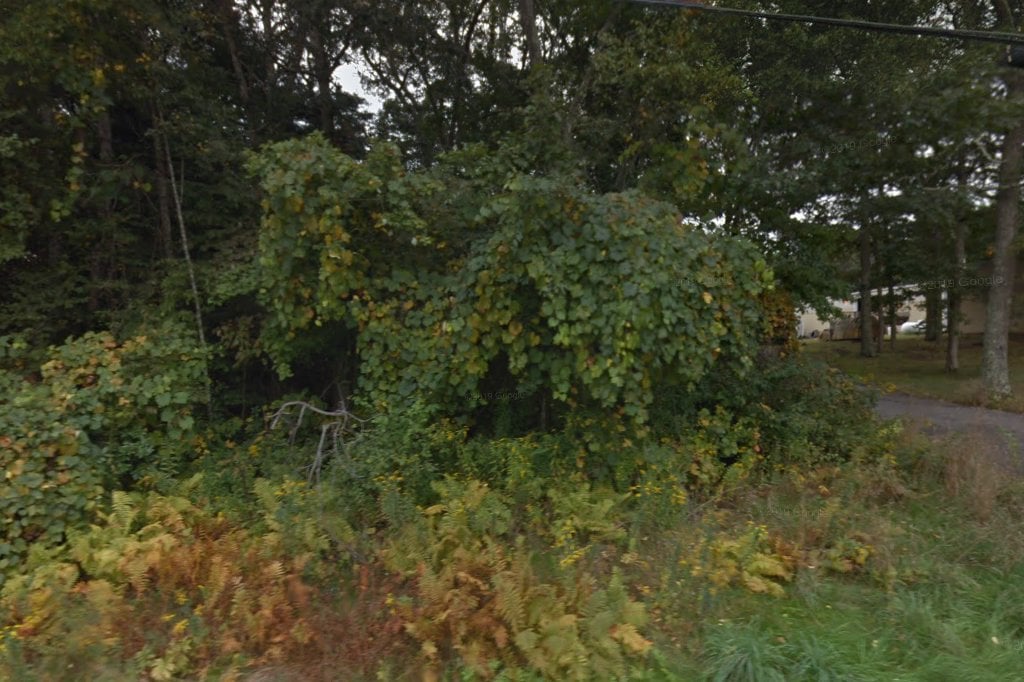 Hopkinton Animal Control