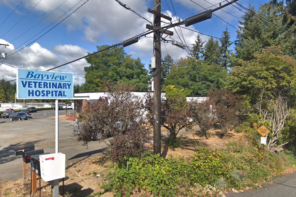 Bayview Veterinary Hospital