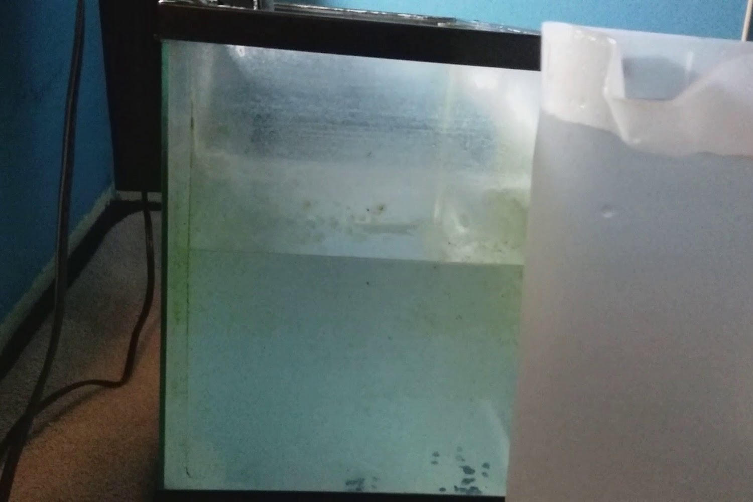 Quapaw Animal Control