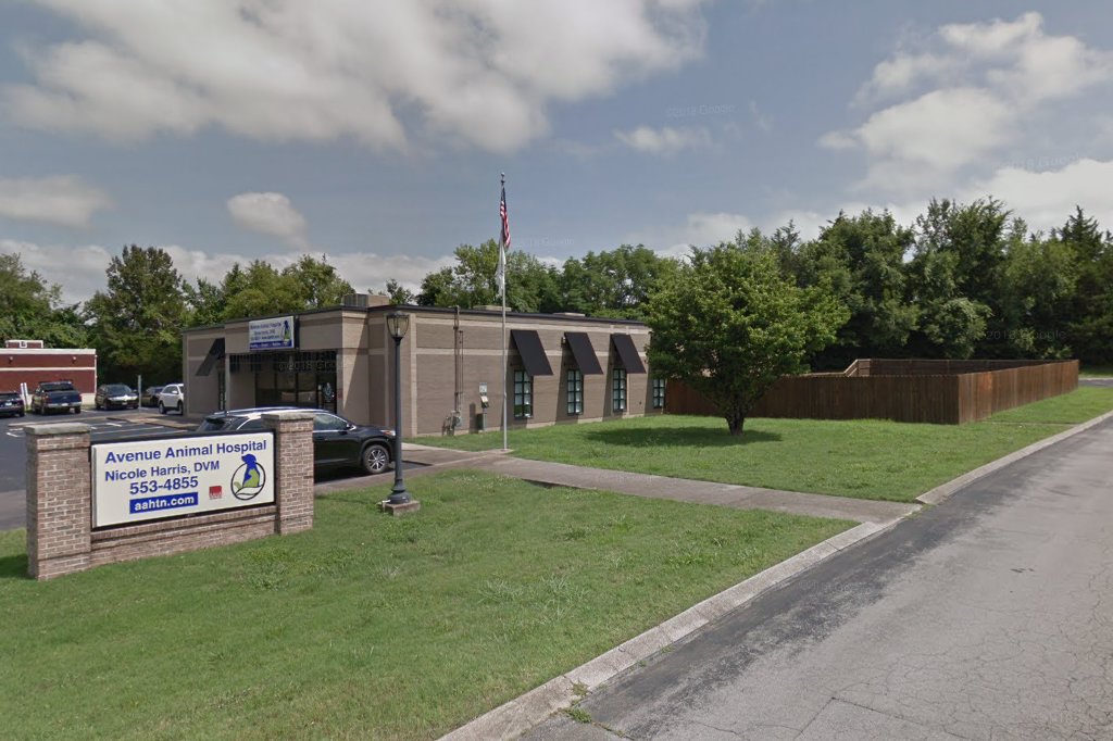 Avenue Animal Hospital