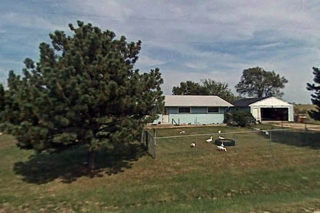 Westmoreland Animal Control