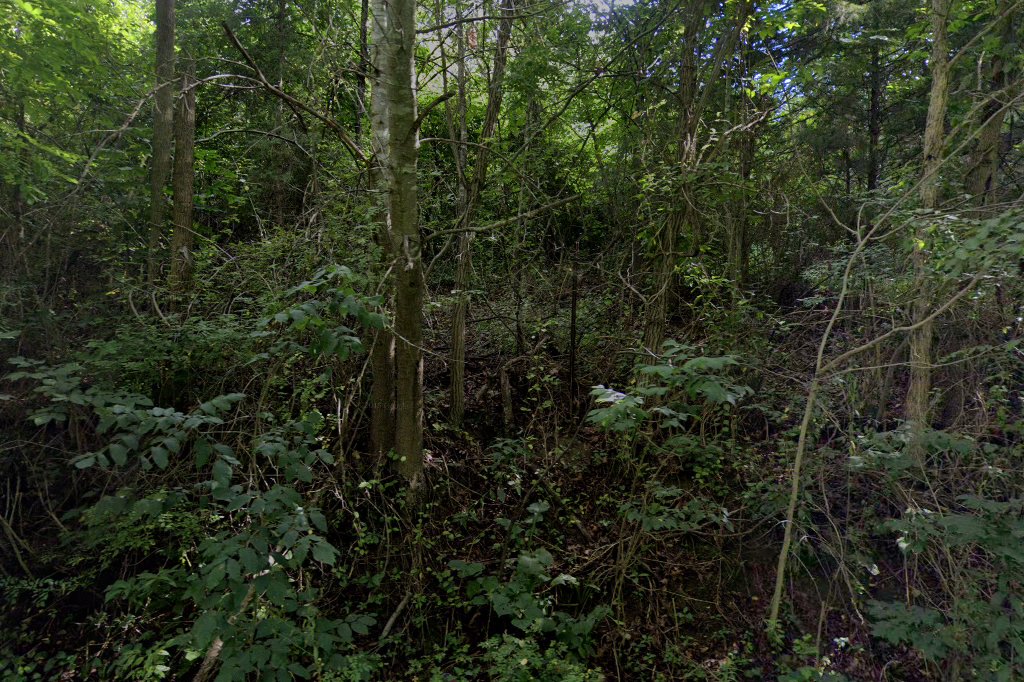 Augusta Regional SPCA