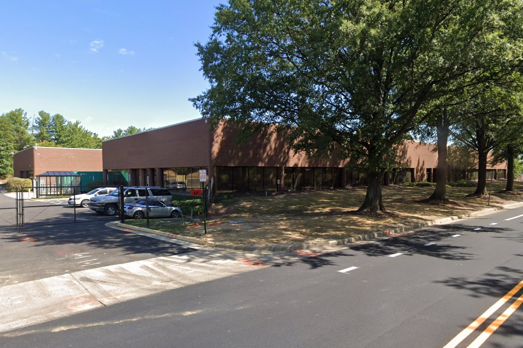 BLM Wild Horse & Burro Program