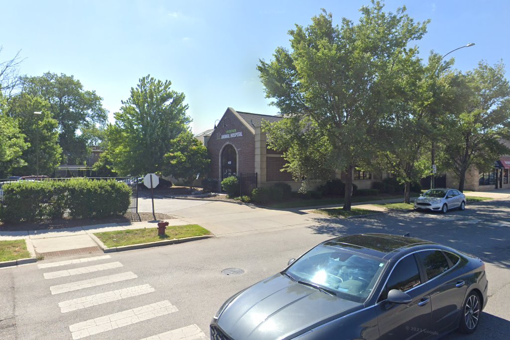 Hyde Park Animal Hospital