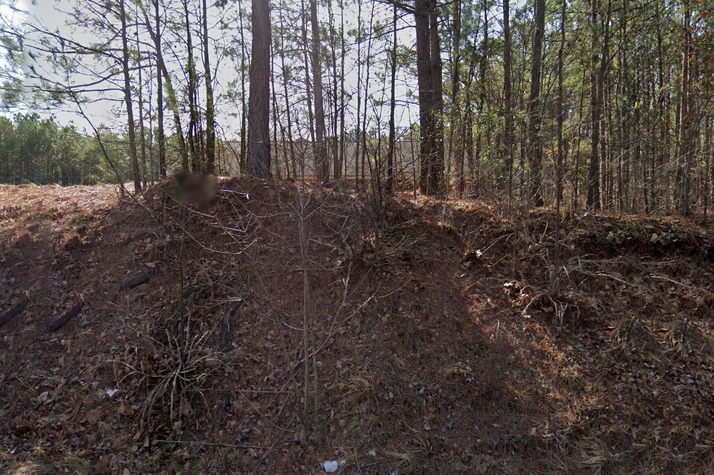 Lake Murray Animal Hospital