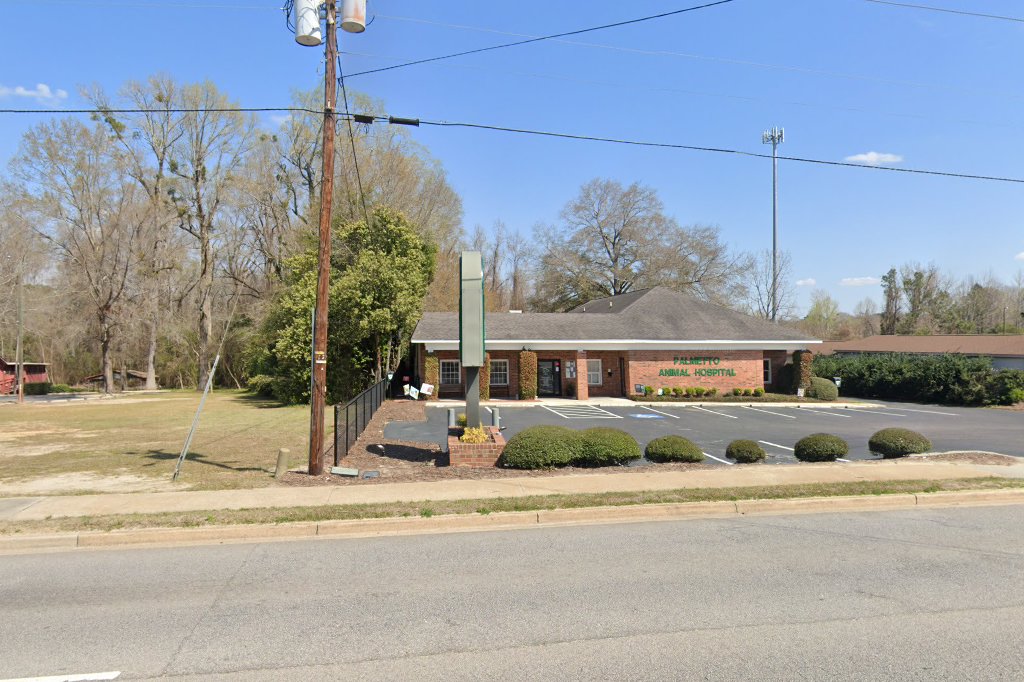Palmetto Animal Hospital