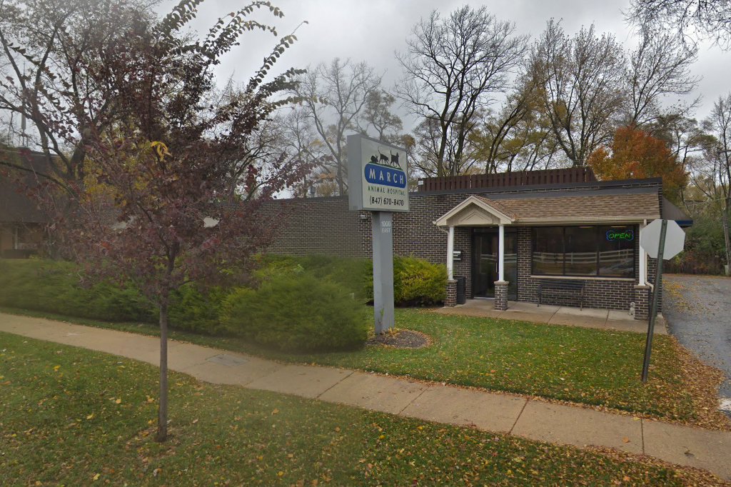March Animal Hospital