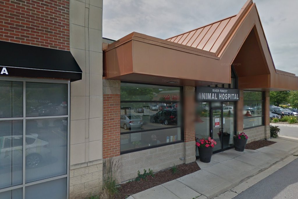 River Forest Animal Hospital