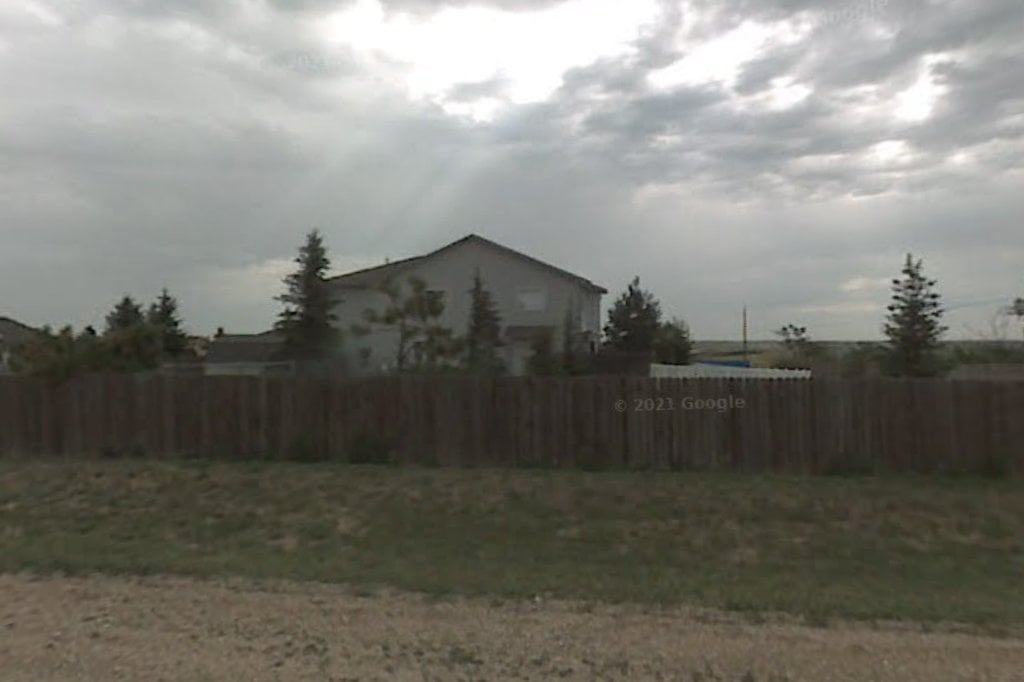 Black Dog Animal Rescue