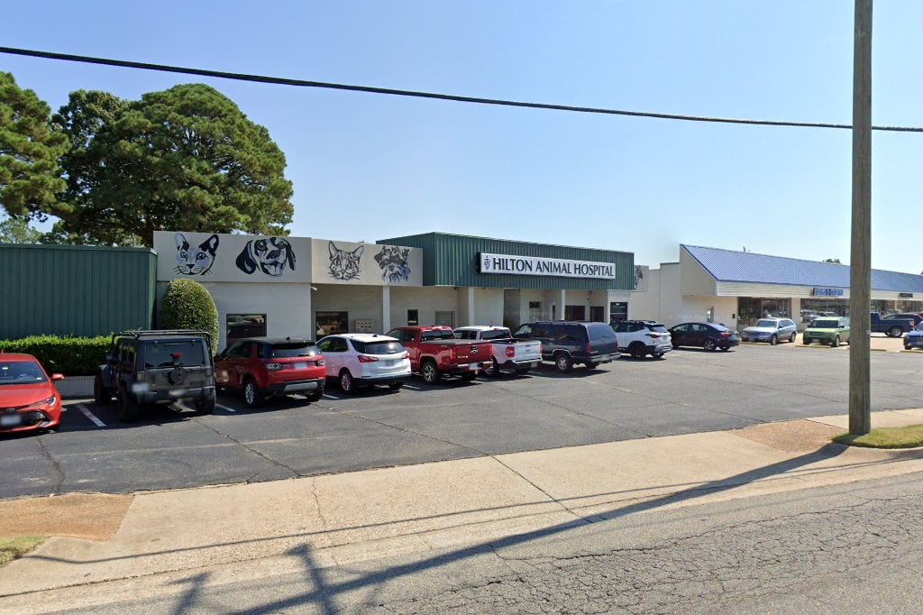 Hilton Animal Hospital