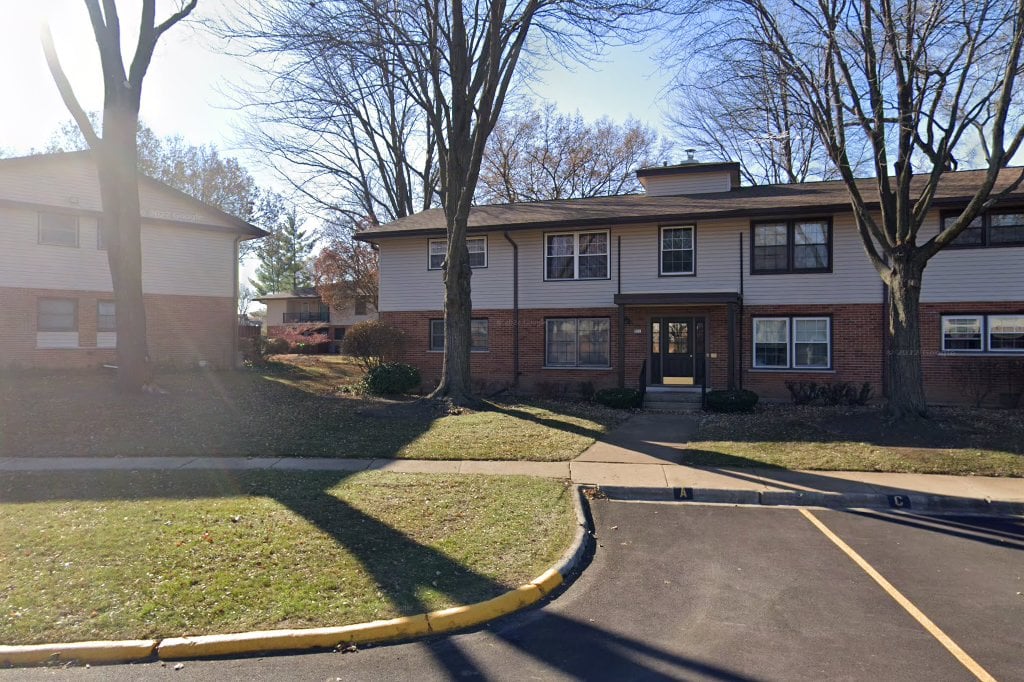 Chicagoland Dog Rescue