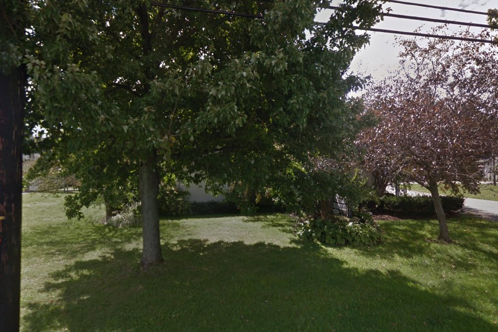 Auburn Veterinary Hospital