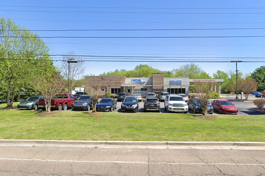 Regional Institute for Veterinary Emergencies & Referrals