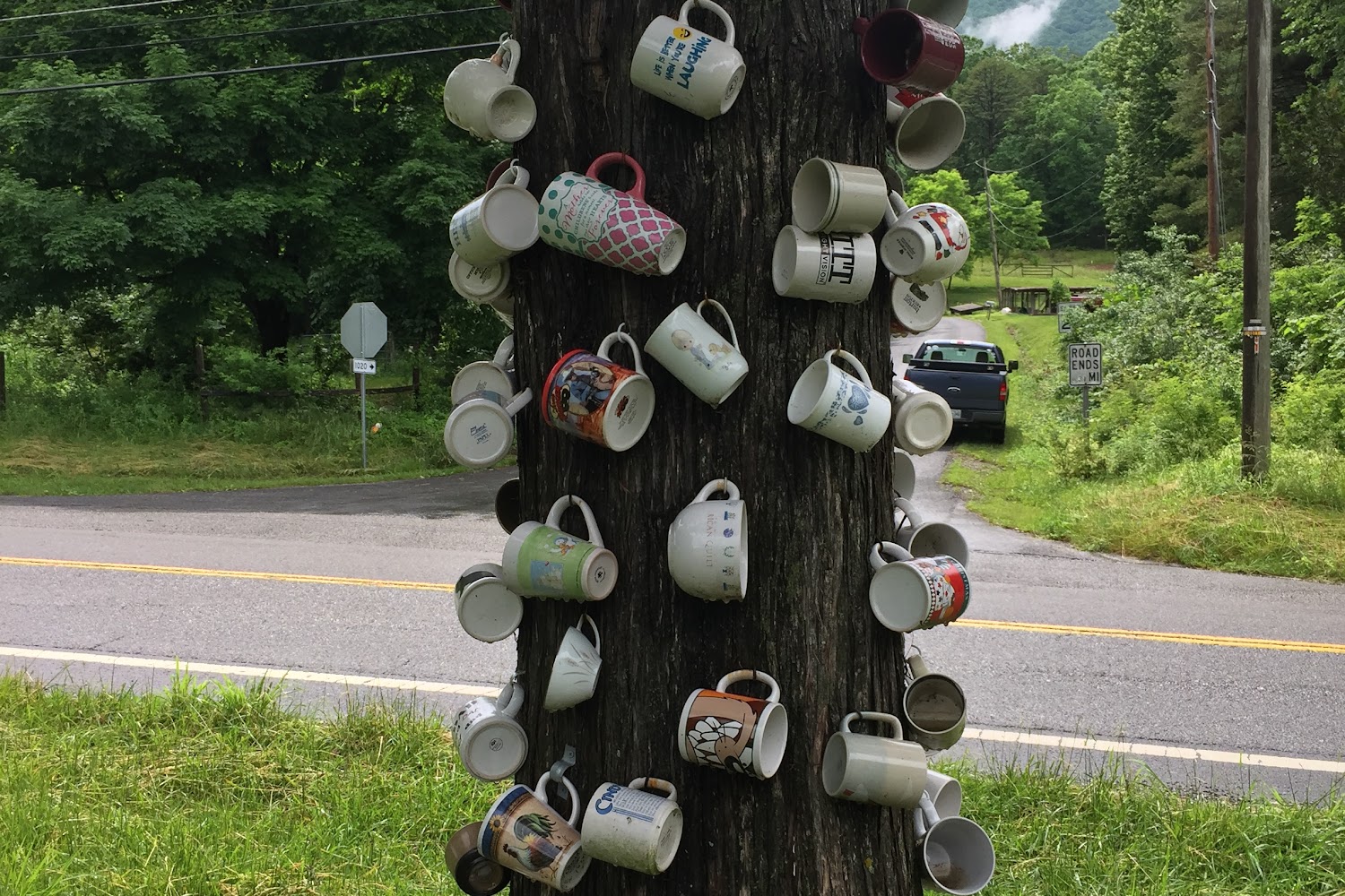 Craig County Animal Control