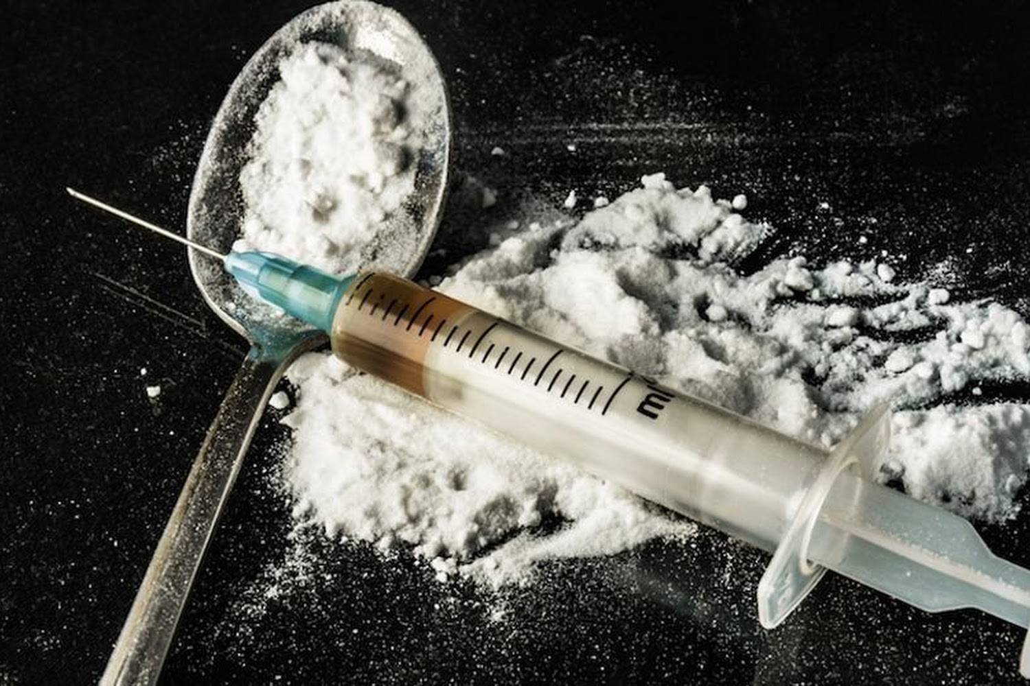 Lazy Maple Equine Rescue & Rehabilitation Center Nfp