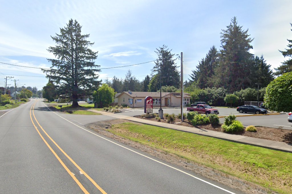 Bayshore Animal Hospital