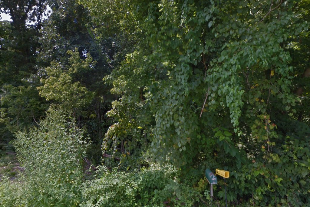 Humane Society of Southern Illinois