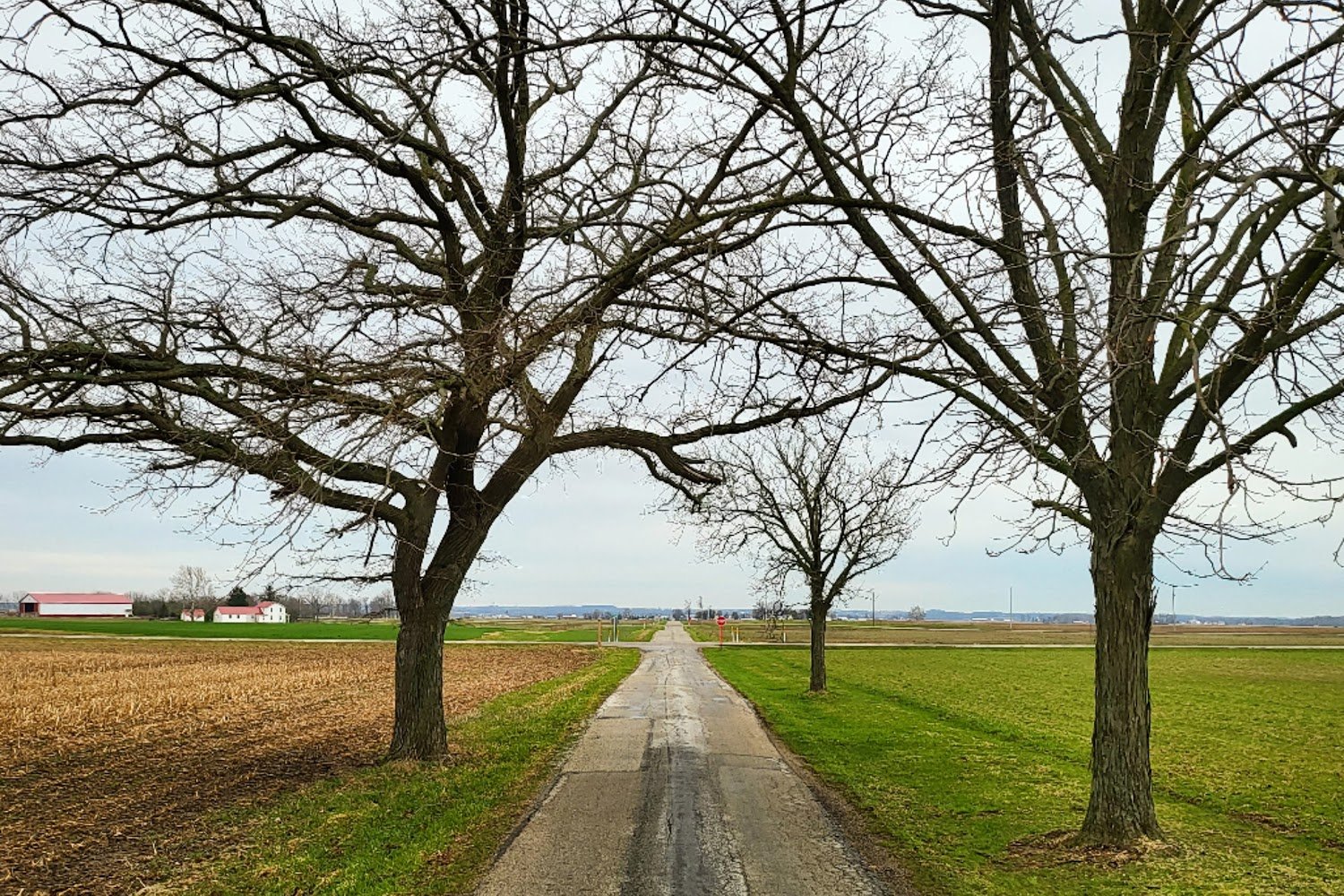 Mission Impawssible, Inc.