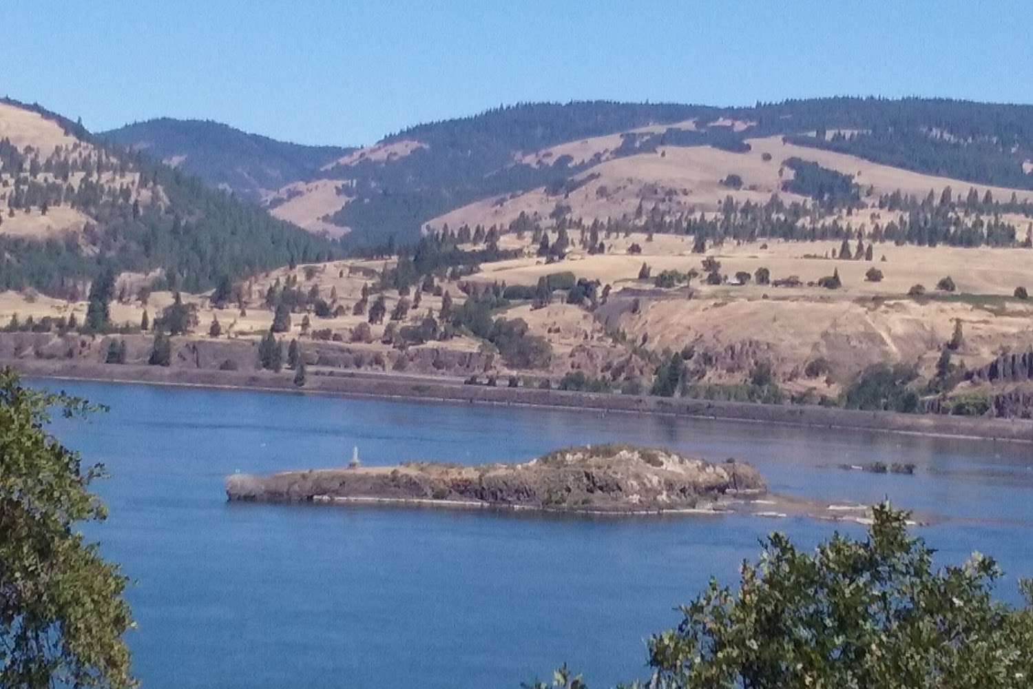 Home at Last Animal Freinds