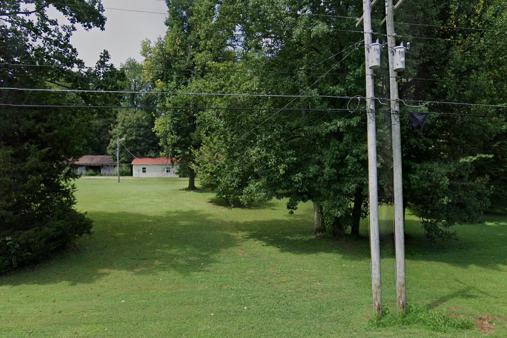 Paris Henry County Pet Rescue