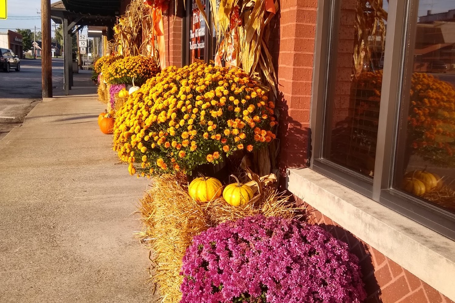 2x2 Ranch and Refuge