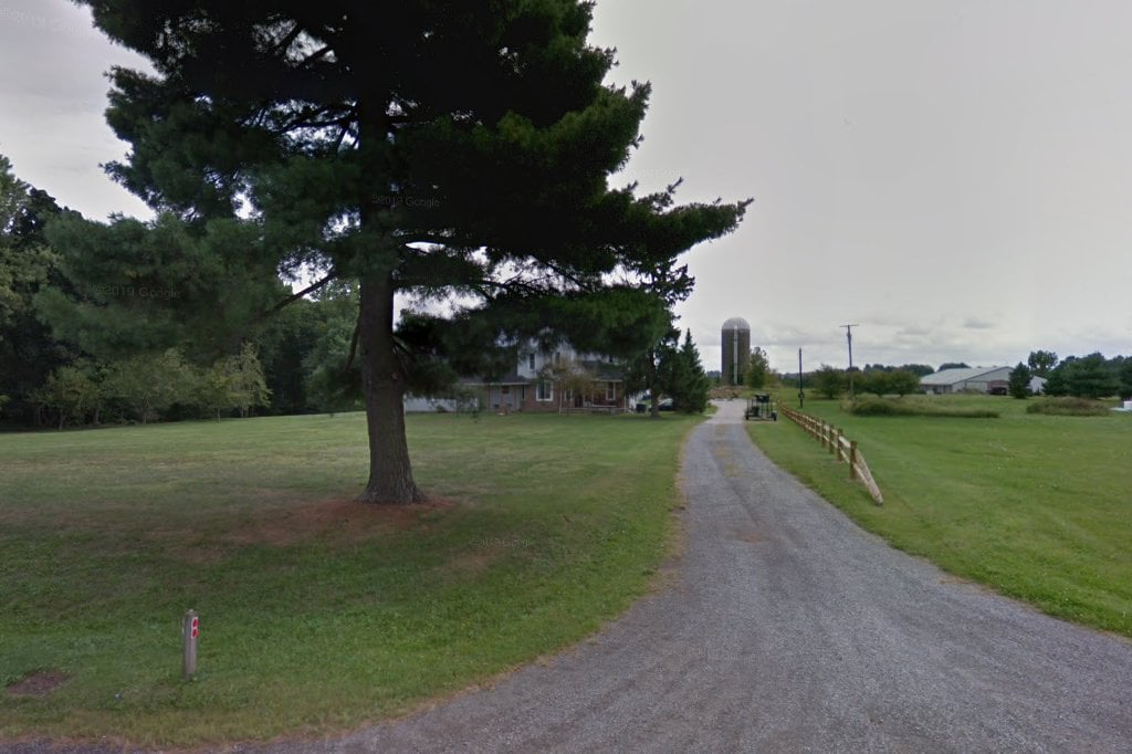 Noah's Ark Animal Rescue