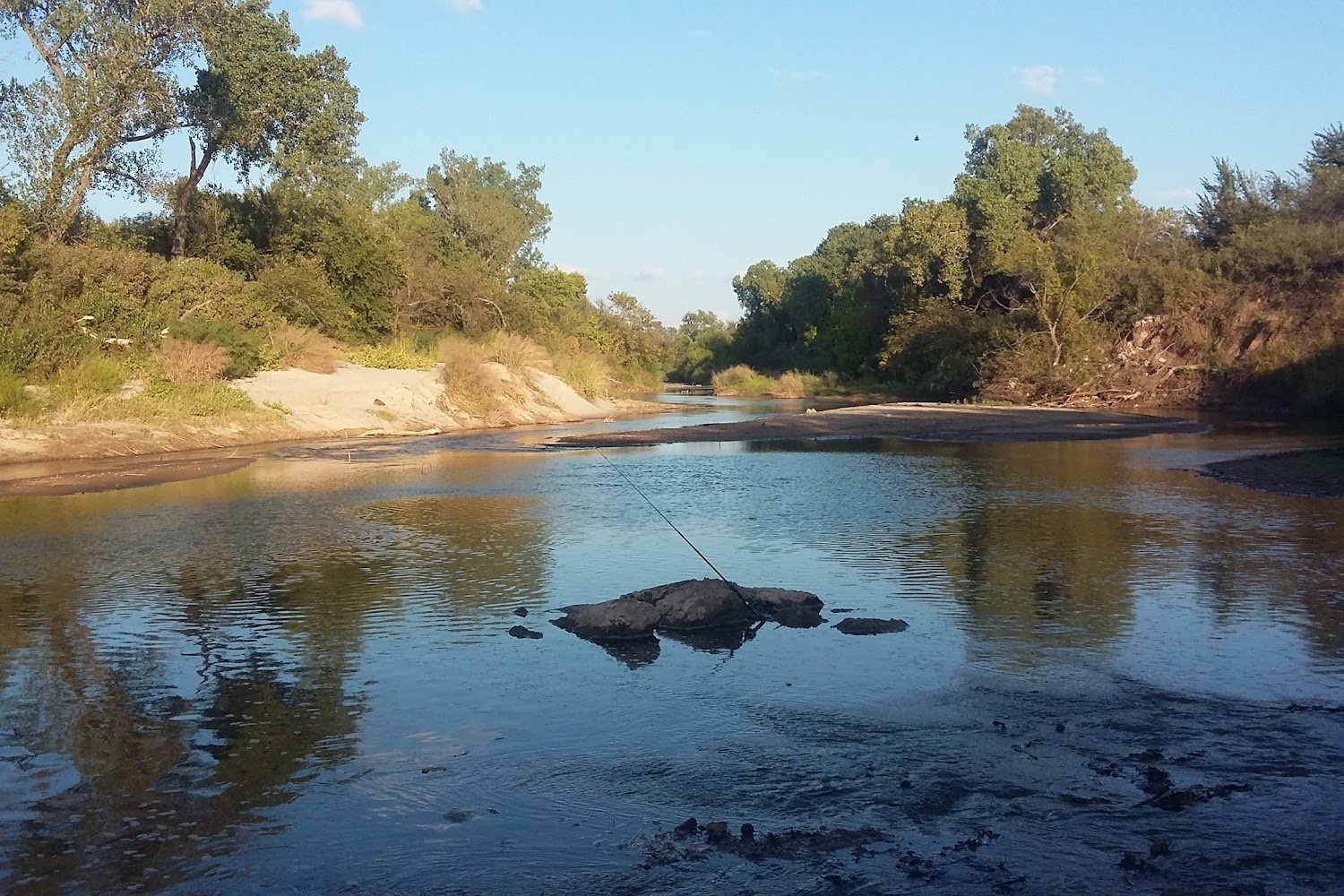Guardian Cat Sanctuary