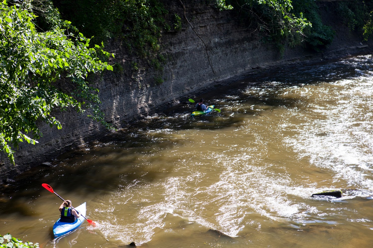Humane Society of Greater Akron