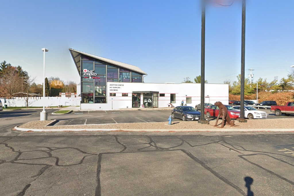 One of A Kind Pet Rescue