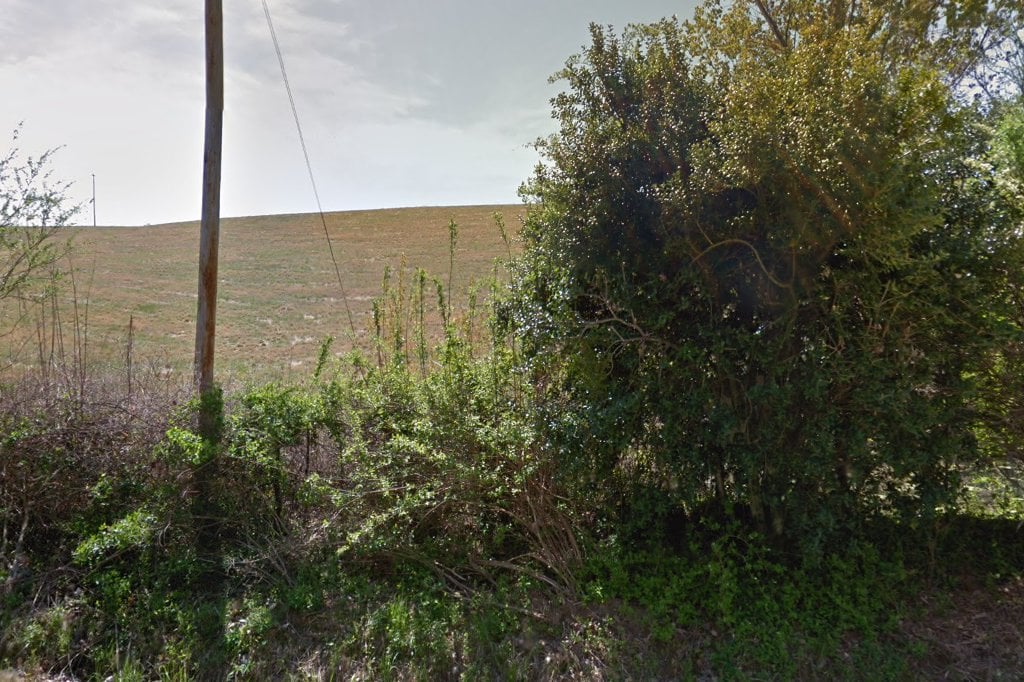 Miner Menagerie Sanctuary