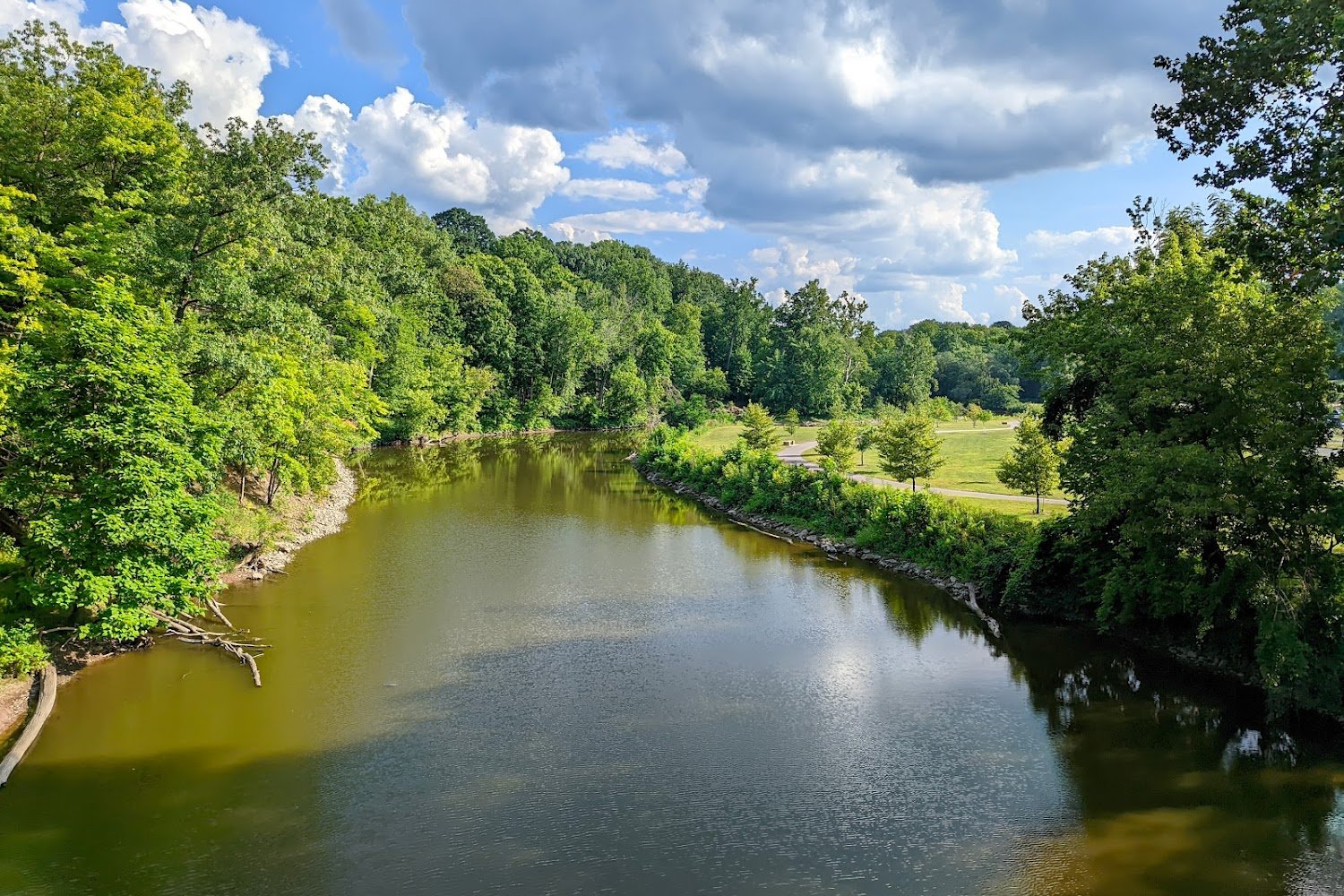 County Animals Rescue Evacuation Organization