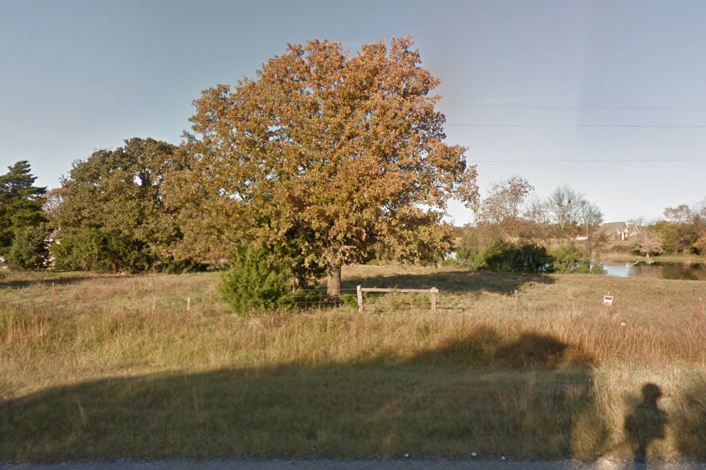 Compassion Seeds Animal Sanctuary