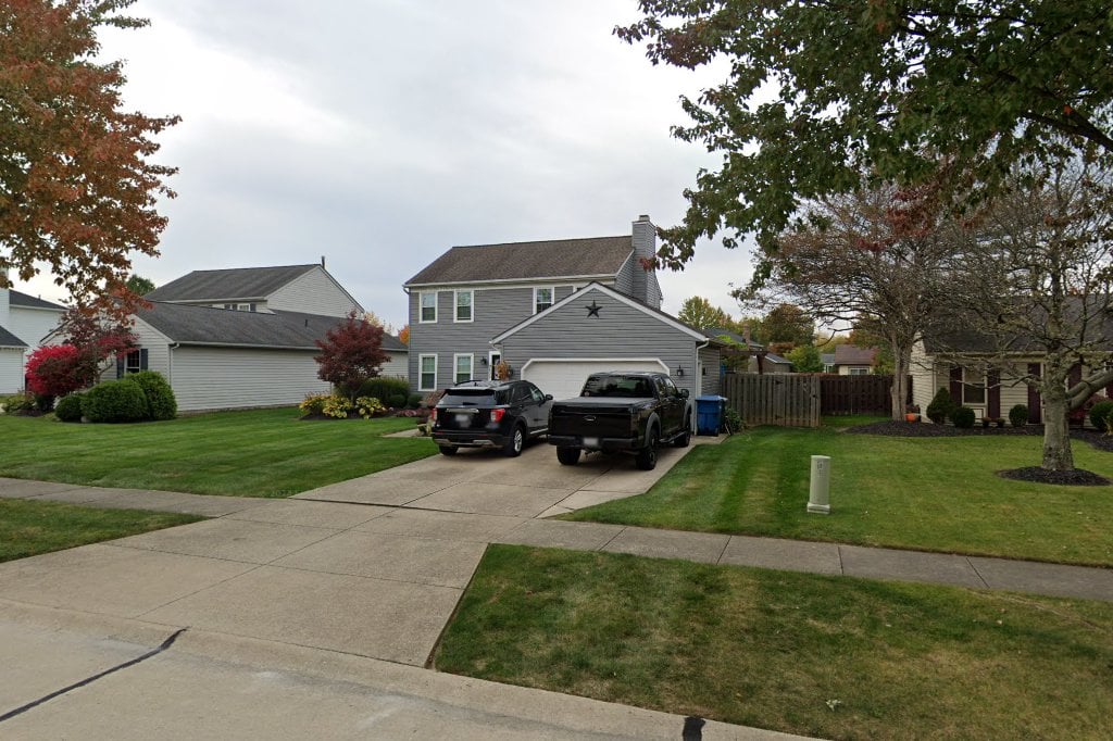 A New Leash On Life Rescue