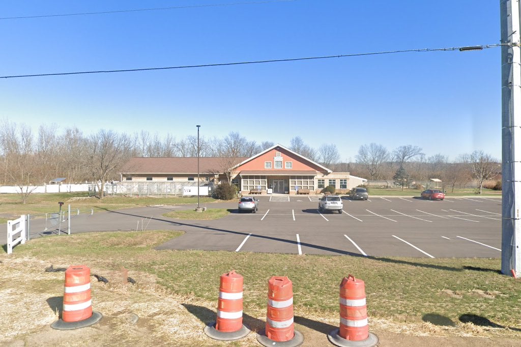 Animal Adoption Foundation