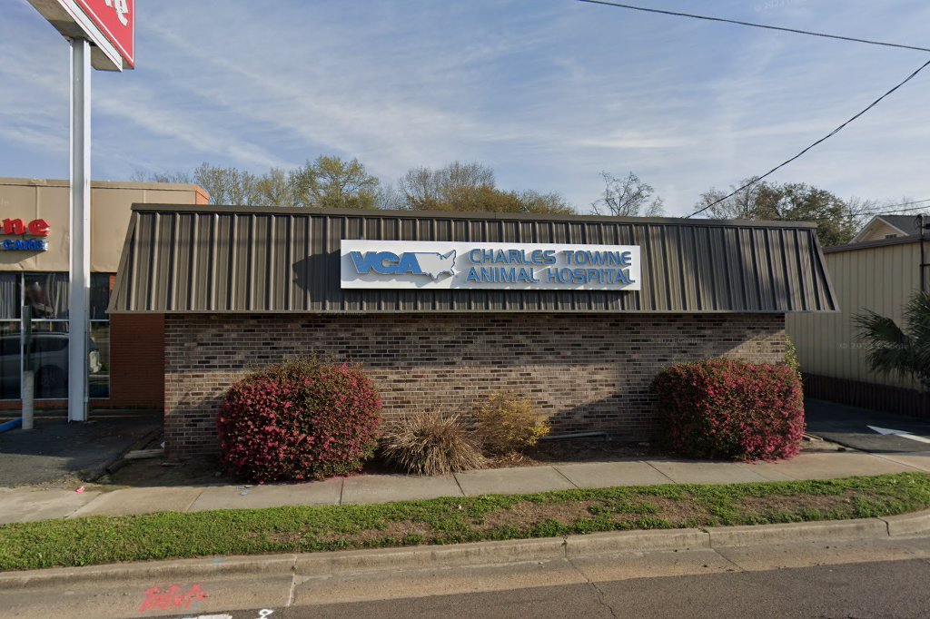 VCA Charles Towne Animal Hospital