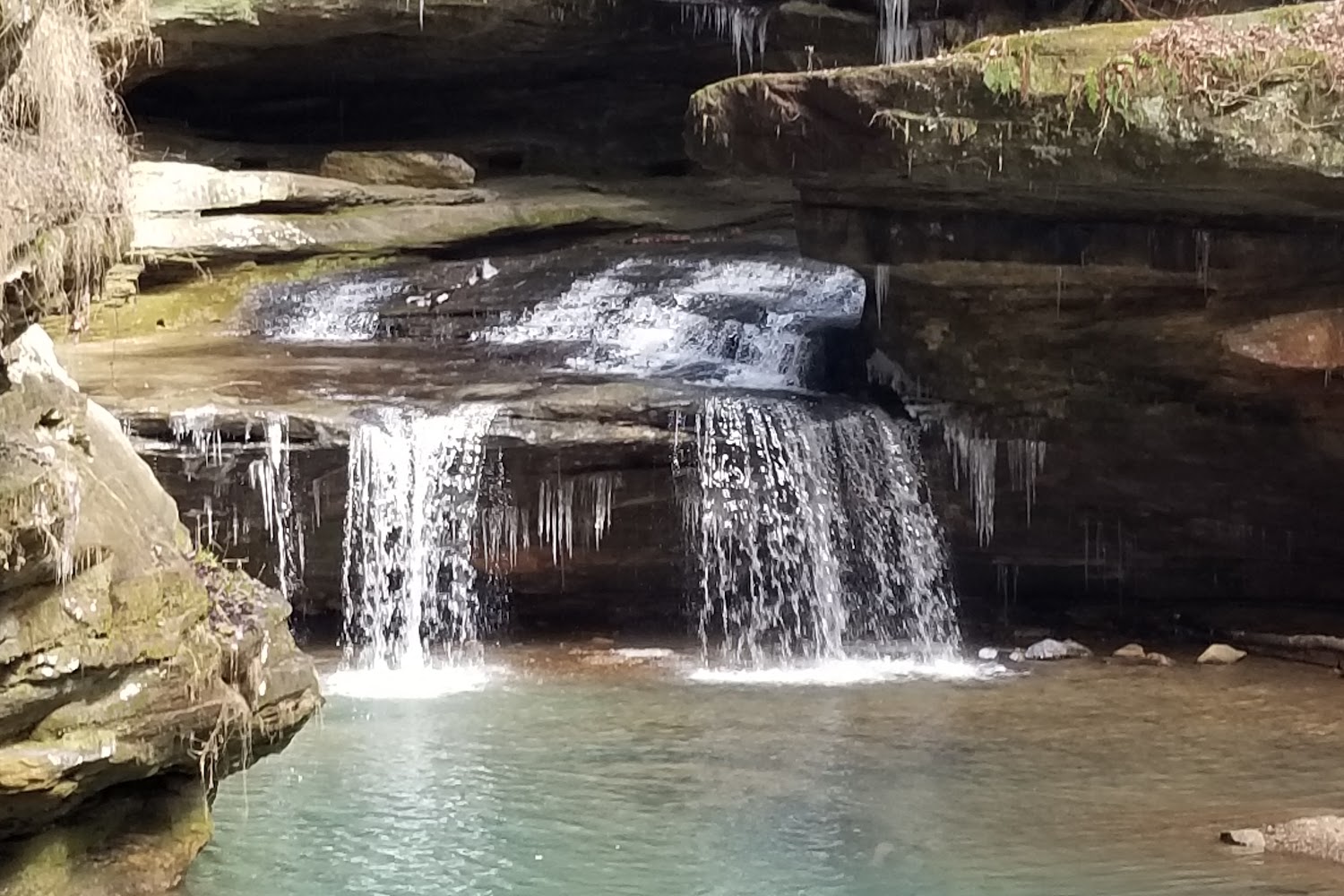 Five Points Animal Hospital